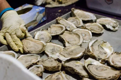 Freshly shucked oysters on ice at a raw bar